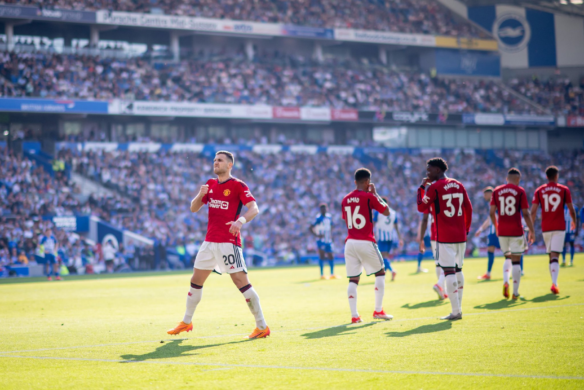 体协调能力 体协调能力